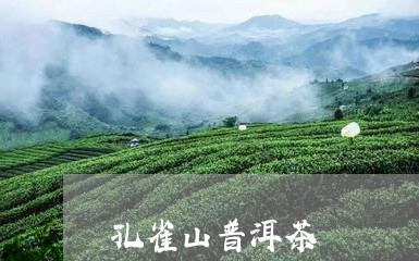 孔雀山普洱茶/2023042872441