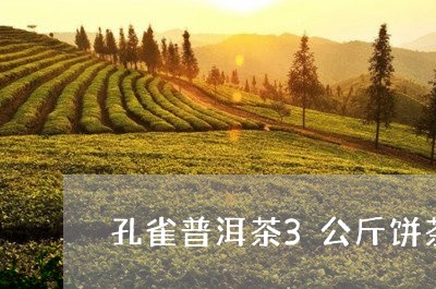 孔雀普洱茶3公斤饼茶/2023062476947