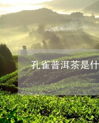 孔雀普洱茶是什么茶类别/2023081486268