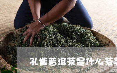 孔雀普洱茶是什么茶类的/2023112872927