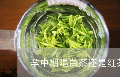 孕中期喝白茶还是红茶/2023093060494