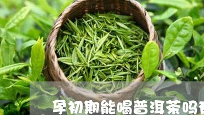 孕初期能喝普洱茶吗有影响吗/2023082642715