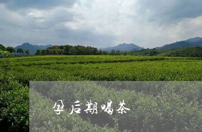 孕后期喝茶/2023090278261