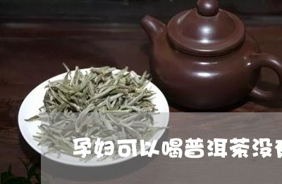 孕妇可以喝普洱茶没有/2023080138484