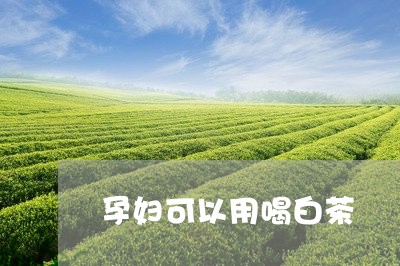 孕妇可以用喝白茶/2023061803158