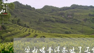 孕妇喝普洱茶吐了还能喝吗/2023112497484