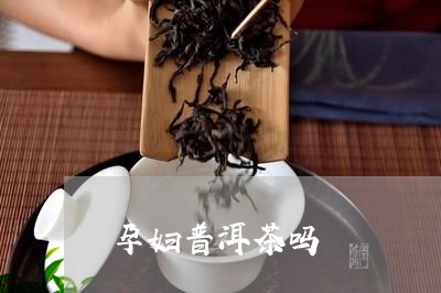 孕妇普洱茶吗/2023042898708