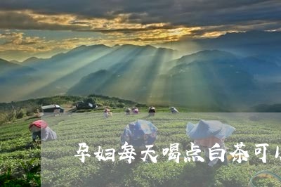 孕妇每天喝点白茶可以吗/2023102484158