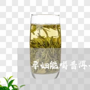 孕妇能喝普洱茶吗便秘/2023061346160