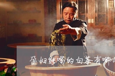 孕妇能喝的白茶有哪些/2023093019583