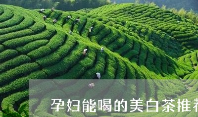 孕妇能喝的美白茶推荐吗/2023102405059