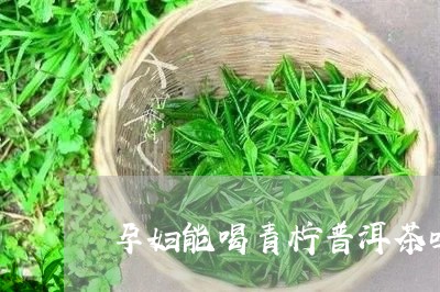 孕妇能喝青柠普洱茶吗/2023063040613