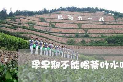 孕早期不能喝茶叶水吗/2023092312816