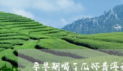 孕早期喝了几杯普洱茶/2023062985937