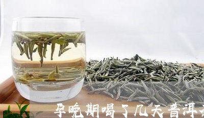 孕晚期喝了几天普洱茶/2023062572704