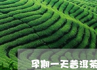 孕期一天普洱茶喝多少/2023063059583