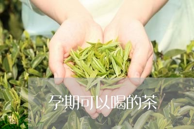 孕期可以喝的茶/2023042919444