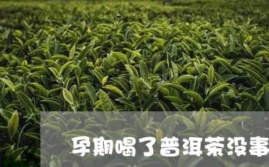 孕期喝了普洱茶没事吧/2023100655835