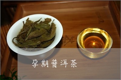 孕期普洱茶/2023090527070