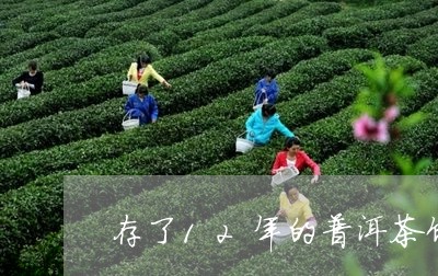 存了12年的普洱茶饼值多少钱啊/2023112553048