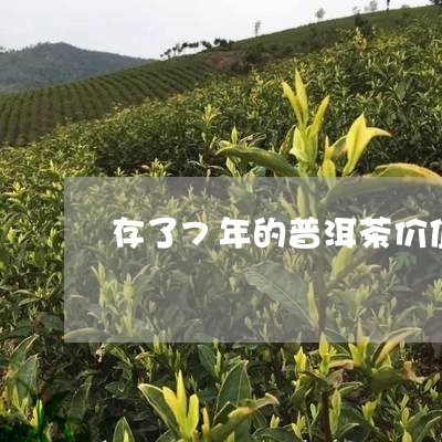 存了7年的普洱茶价值/2023092795151