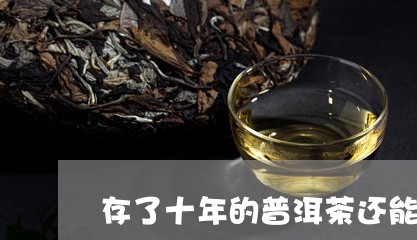 存了十年的普洱茶还能喝吗/2024010494047