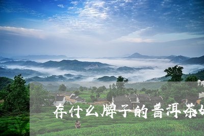 存什么牌子的普洱茶好/2023062310615