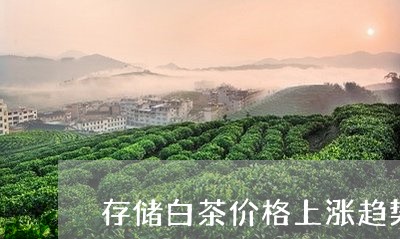 存储白茶价格上涨趋势/2023093078280