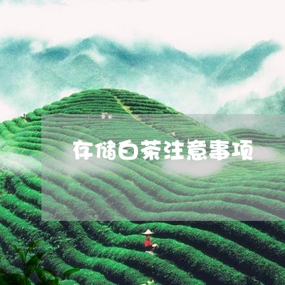 存储白茶注意事项/2023061818361