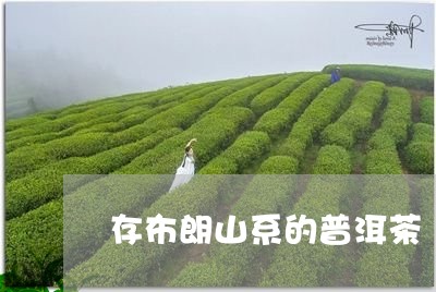 存布朗山系的普洱茶/2023071185258