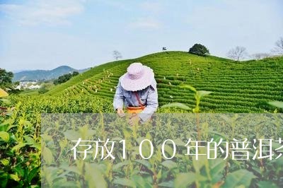 存放100年的普洱茶/2023073157491