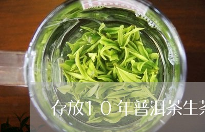 存放10年普洱茶生茶好吗/2023082943848