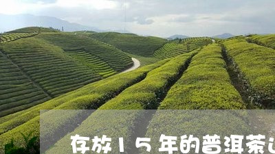 存放15年的普洱茶还能喝吗百度/2023060241605