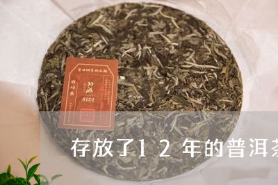 存放了12年的普洱茶/2023093048281