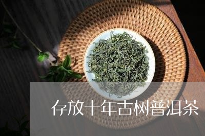 存放十年古树普洱茶/2023120562604