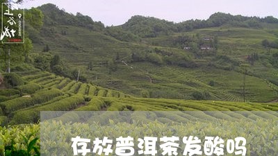 存放普洱茶发酸吗/2023082925258