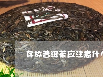 存放普洱茶应注意什么细节/2023082891914