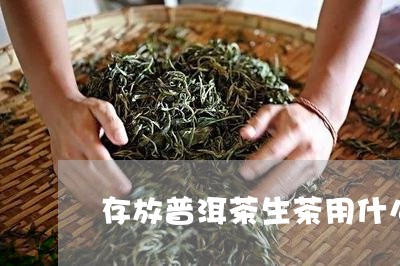 存放普洱茶生茶用什么/2023080373617