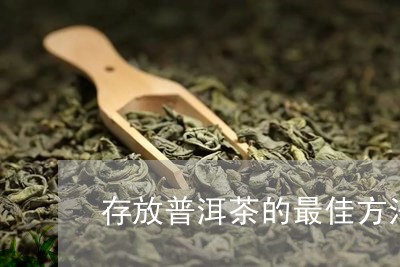 存放普洱茶的最佳方法和时间/2023082923028