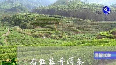 存散装普洱茶/2023042610893