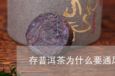 存普洱茶为什么要通风/2023093013015