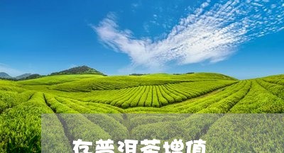 存普洱茶增值/2023042670970