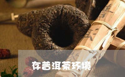 存普洱茶环境/2023042623938