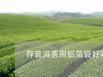 存普洱茶用铝箔袋好吗/2023092784836