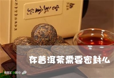 存普洱茶需要密封么/2023080270515