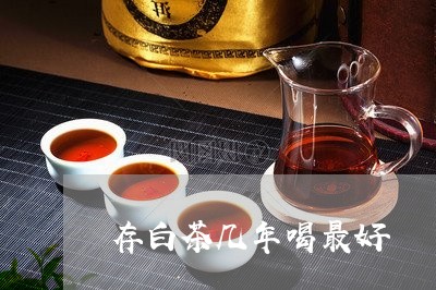 存白茶几年喝最好/2023061808471