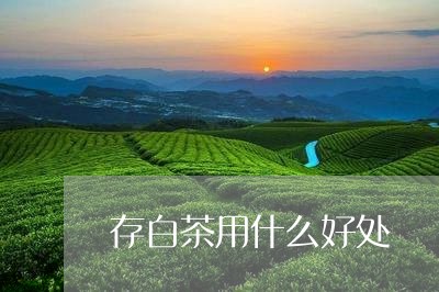 存白茶用什么好处/2023061894847