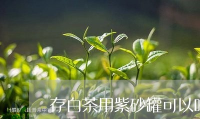 存白茶用紫砂罐可以吗/2023093073816