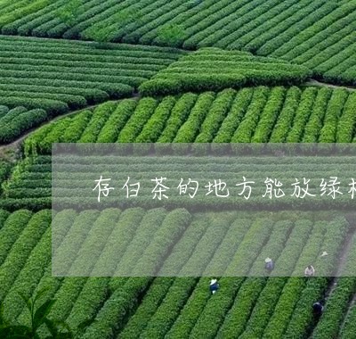 存白茶的地方能放绿植吗/2023102427269