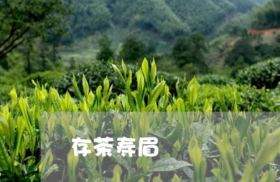 存茶寿眉/2023082617369